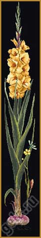 Набор для вышивания "Желтый гладиолус", канва аида (черная) 18 ct арт. ГЕЛ-1002-1-ГЕЛ0039006
