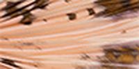 Лента декоративная "Floranta" Shibori (Шибори) ш.12см арт. ГММ-6080-58-ГММ0050615 1
