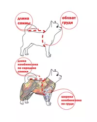 Как построить выкройки для собак йоркширского терьера?