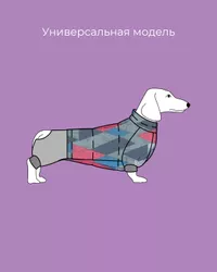 Комбинезон для собаки: выкройка, инструкция шитья, фото