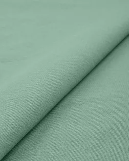 Футер 2-х нитка 230 гр/м.кв. арт. ТФД-109-1-27010.001