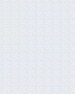 Ситец наб. Середа  ш.150 пл.94+-5 гр, арт. с33шв б/з  рис. 21168/2 арт. СС-93-1-Б00664.002