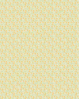 Ситец наб Полина ш.80 пл.85+-4 гр, арт. с53шв рис. 21916-1 арт. СС80-62-1-Б00655.007 Ситец наб Полина ш.80 пл.85+-4 гр, арт. с53шв рис. 21916-1 арт. СС80-62-1-Б00655.007