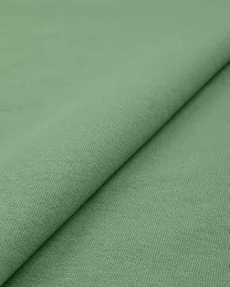 Футер 2-х нитка 230 гр/м.кв. арт. ТФД-109-2-27010.002