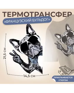 Термотрансфер «Французский бульдог» р.14,5×21,5см арт. АТТ-71-1-47566