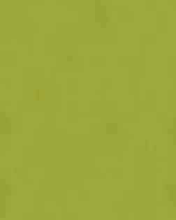Фетр мягкий STAMPERIA р.30х30см (св.зеленый) арт. ФЕ-26-1-44405
