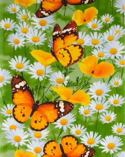 Купить Ткани для дома зеленого цвета Бабочки (Полотно вафельное 50 см) арт. ПВ50-112-1-0989.027 оптом