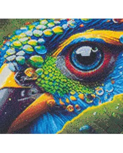 Cr430213 Алмазная мозаика 'Глаз попугая', 40х30, Cristyle арт. АРС-58922-1-АРС0001293163