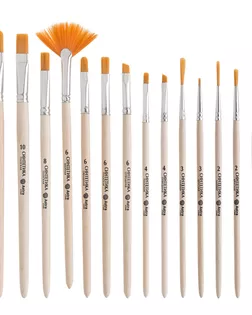 Набор кистей №10, синтетика (круглая, овальная, плоская, лайнер, веерная), 14шт/уп, Astra&Craft арт. АРС-63743-1-АРС0001307654