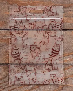 9939310 Пакет подарочный, с zip-lock застежкой, 15*23см арт. АРС-65304-1-АРС0001314629