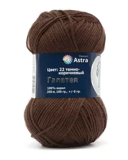 Пряжа Astra Premium 'Галатея' 100гр. 250м (100% акрил) (22 темно-коричневый) арт. АРС-33271-1-АРС0001234357