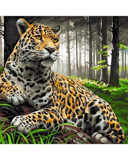 Купить H072 Набор для рисования по номерам 'Леопард в лесу' 40*50см арт. АРС-43876-1-АРС0001179344 оптом в Тамбове
