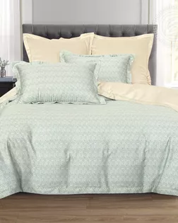 КПБ 2 сп. с Евро, тенсел (волокно эвкалипта), диз. Теодор арт. 876 арт. АРТД-6288-1-АРТД0287801