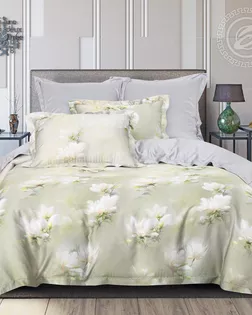 КПБ 2 сп. с Евро, тенсел (волокно эвкалипта), диз. Дороти арт. 876 арт. АРТД-6301-1-АРТД0287796