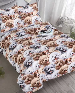 КПБ 1,5 сп., поплин, диз. Дружок арт. 900 арт. АРТД-6854-1-АРТД0295102