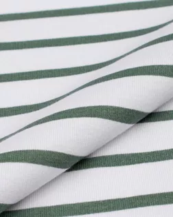 Футер 2-х нитка 30/100, 230гр/м.кв. полоска (Пенье) арт. ТФД-108-8-26955.008 Футер 2-х нитка 30/100, 230гр/м.кв. полоска (Пенье) арт. ТФД-108-8-26955.008