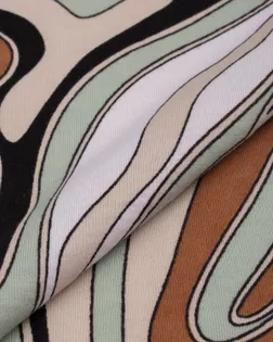 Кулирка хлопок принт 30/1,145гр/м.кв. (Карде) арт. ТКП-472-1-26662.010