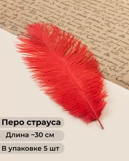 Перо страуса дл.~30см (5шт) арт. ППР-21-3-47759.003