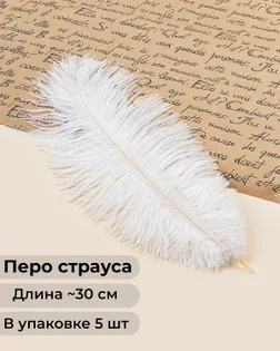 Перо страуса дл.~30см (5шт) арт. ППР-21-1-47759.001