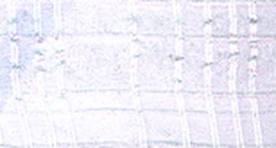 Лента с рисунком SAFISA, арт.P25205-39мм,2м,мини-рулоны,цв.01 арт. ГЕЛ-19431-1-ГЕЛ0032806
