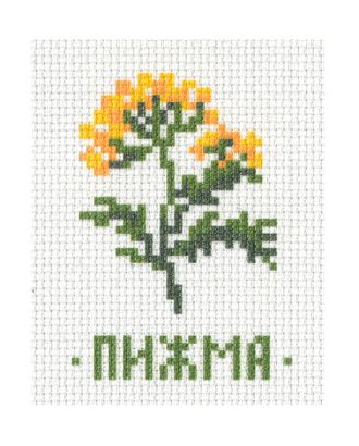 Канва "Травы: пижма" арт. ТРК-4-1-16460.004 Канва "Травы: пижма" арт. ТРК-4-1-16460.004