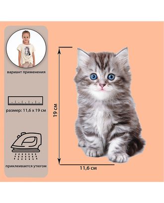 Набор термотрансферов "Котёнок" р.11,6*19см (1шт.) арт. АТТ-47-1-44536