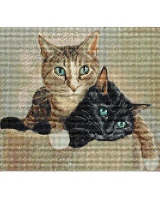 Cr 340025 Алмазная мозаика 'Котики Мимо и Кирри', 30*40см, Cristyle арт. АРС-36788-1-АРС0001248213 Cr 340025 Алмазная мозаика 'Котики Мимо и Кирри', 30*40см, Cristyle арт. АРС-36788-1-АРС0001248213