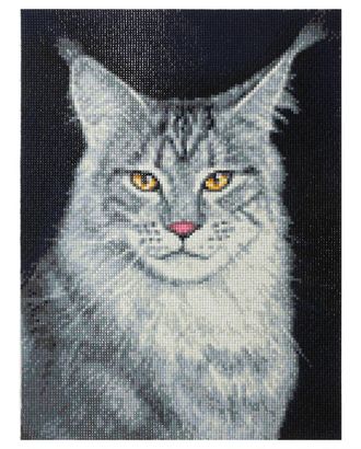 Cr 340028 Алмазная мозаика 'Кот Мейн-кун', 30*40см, Cristyle арт. АРС-36791-1-АРС0001248216 Cr 340028 Алмазная мозаика 'Кот Мейн-кун', 30*40см, Cristyle арт. АРС-36791-1-АРС0001248216