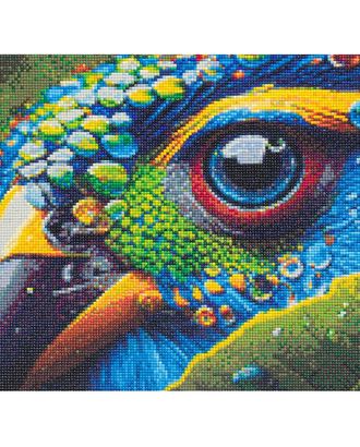 Cr430213 Алмазная мозаика 'Глаз попугая', 40х30, Cristyle арт. АРС-58922-1-АРС0001293163