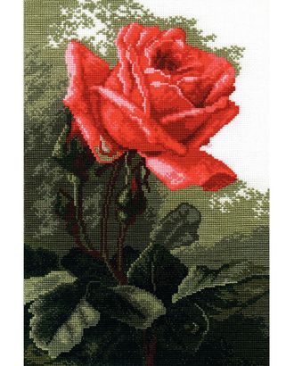 443 Набор для вышивания РС-Студия 'Роза розовая' 20*30 см арт. АРС-50148-1-АРС0000822611