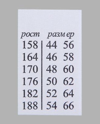 Этикетка-ростовка, взрослая, 25х40мм (100 шт.) арт. АРС-23583-1-АРС0000815509