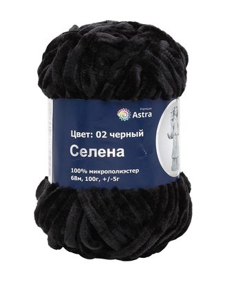 Пряжа Astra Premium 'Селена' 100гр. 68м (100% микрополиэстер) (02 черный) арт. АРС-26861-1-АРС0001184308 в Петропавловске-Камчатском Купить Пряжа Astra Premium 'Селена' 100гр. 68м (100% микрополиэстер) (02 черный) арт. АРС-26861-1-АРС0001184308 оптом в Петропавловске-Камчатском