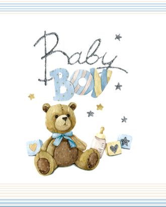 Купить Перкаль 220 см Комплект панелей из 2-х штук для пододеяльников "Baby boy" арт. ПРКГ-38-1-1352.004 оптом в Новочеркасске
