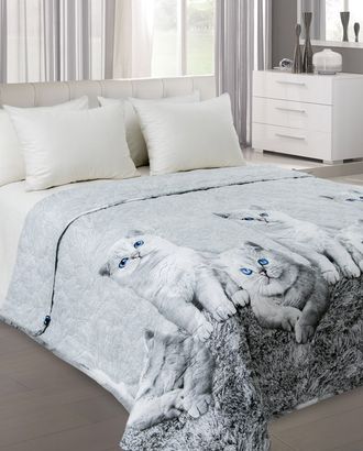 Кесси 1 сер. перкаль 160*210 покрывало стеганое арт. ТЕКСД-6476-1-ТЕКСД0006476 Кесси 1 сер. перкаль 160*210 покрывало стеганое арт. ТЕКСД-6476-1-ТЕКСД0006476