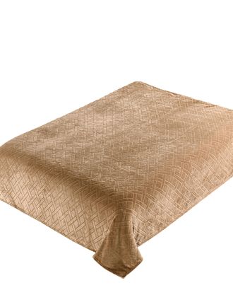 Плед Absolute Flanel Lux TF FNC 205 BE-GY 1520 арт. ТКТЛ-1424-1-ТКТЛ0003146 Плед Absolute Flanel Lux TF FNC 205 BE-GY 1520 арт. ТКТЛ-1424-1-ТКТЛ0003146