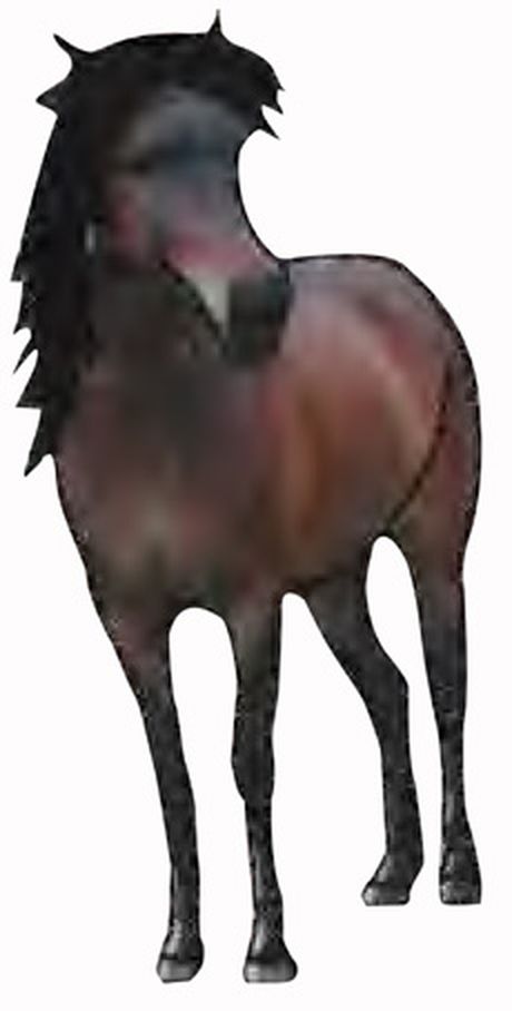 Термоаппликация HKM "Pony mit schwarzer Mahne" арт. ГЕЛ-6534-1-ГЕЛ0085786 1