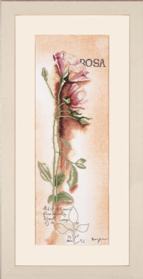 Набор для вышивания "Rosa - Botanical" арт. ГЕЛ-1881-1-ГЕЛ0074743 1