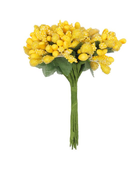 Комнатные желтые цветы и растения (с фото)