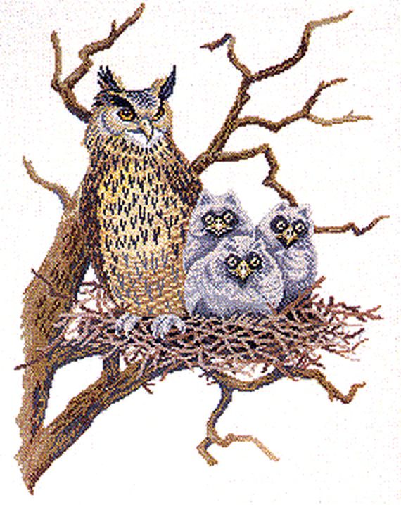 Набор для вышивания "Сова с совятами в гнезде" арт. ГЕЛ-13105-1-ГЕЛ0008049 1