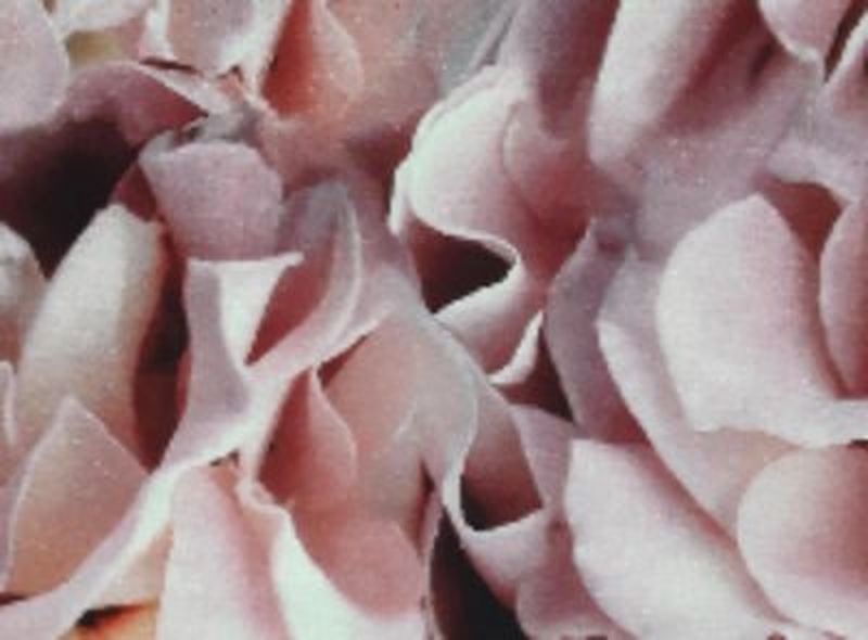 Вискоза+лайкра с диджитал рисунком Розовые розы 140619-02 в рулоне арт. СОТ-503-1-СОТ0000503