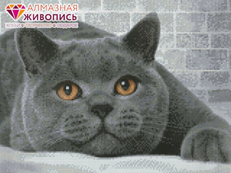 "Алмазная живопись" АЖ-1463 "Британский кот" арт. ГММ-12596-1-ГММ0067431 1