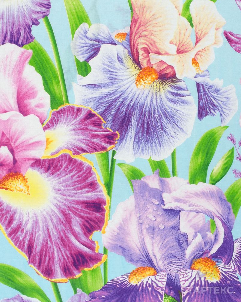 Виолетта (Бязь 220 см) арт. ХБ-423-1-0036.135