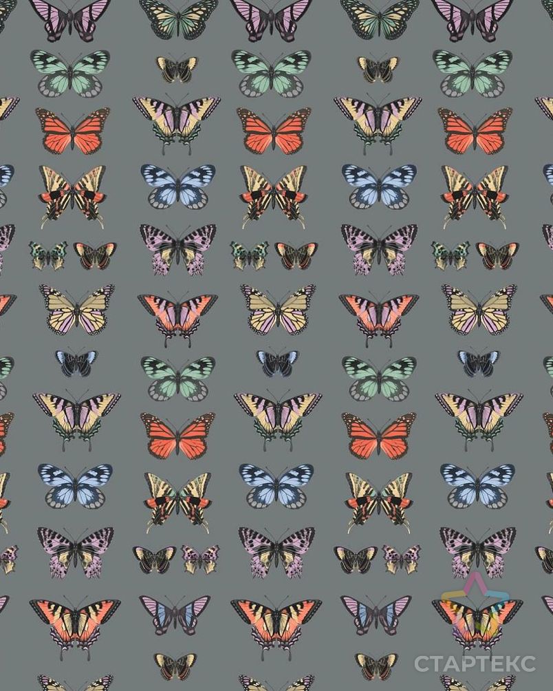 Бабочки (Перкаль 220 см) арт. ПРК-1572-1-1861.300 2