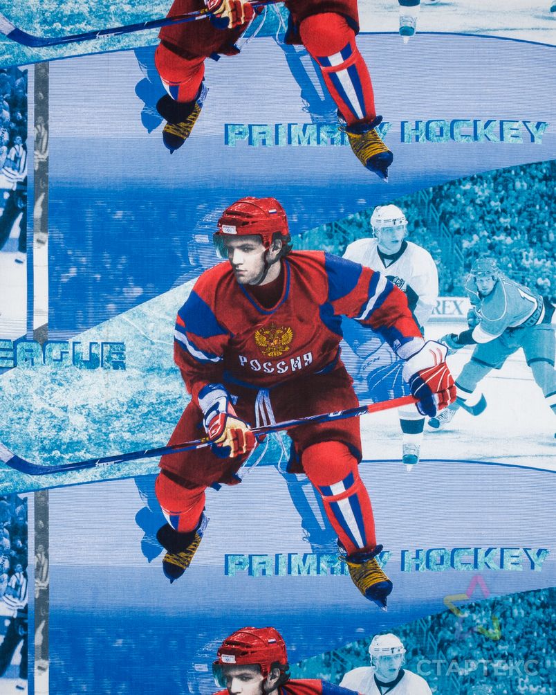 Заказать Хоккей (Бязь детская 150 см) арт. БД-37-1-0037.117 в Новосибирске