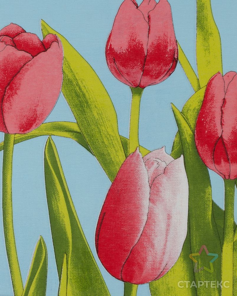 Тюльпаны (Бязь 220 см) арт. ХБ-520-1-1197.001 2