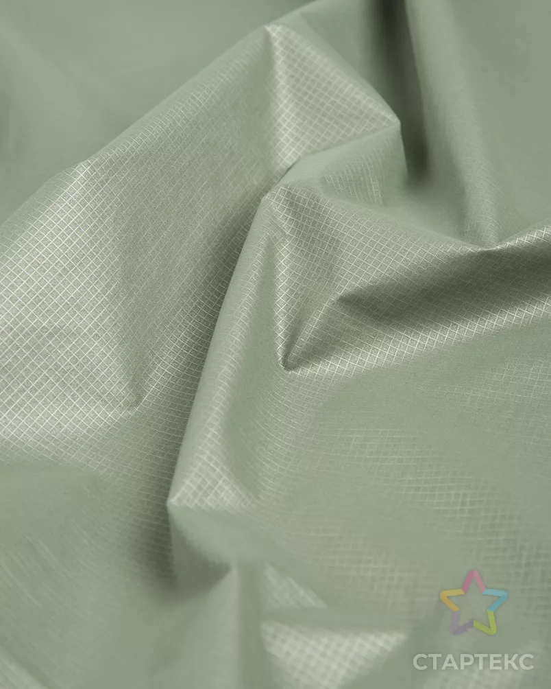 Плащевая "Пепита" арт. ПЛЩ-29-4-20649.004 - рис. 2