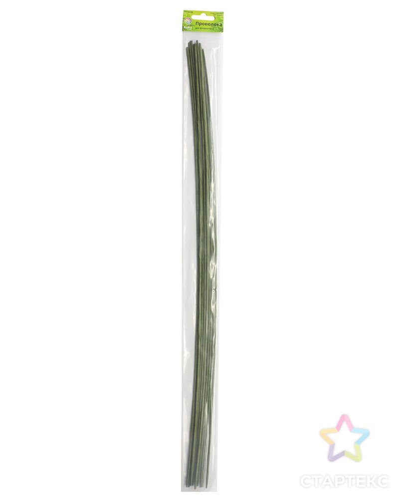 Проволока для флористики диам.2,00мм, 60 см, 10шт. Astra&Craft (зеленый) арт. АРС-27888-1-АРС0001097872