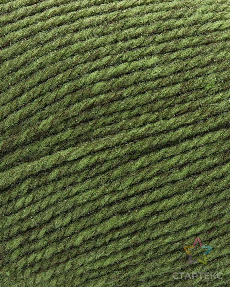 Пряжа Astra Premium 'Шерсть яка' (Yak wool) 100гр. 280м (25% шерсть яка, 50% шерсть, 25% фибра) (24 зеленый мох) арт. АРС-33344-1-АРС0001239787 2