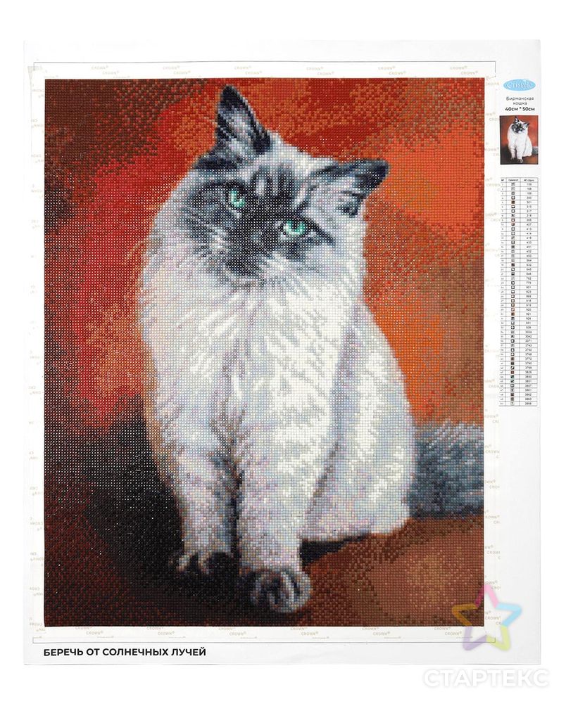 Cr 450066 Алмазная мозаика 'Бирманская кошка', 40*50 см, Cristyle арт. АРС-41732-1-АРС0001271535 3