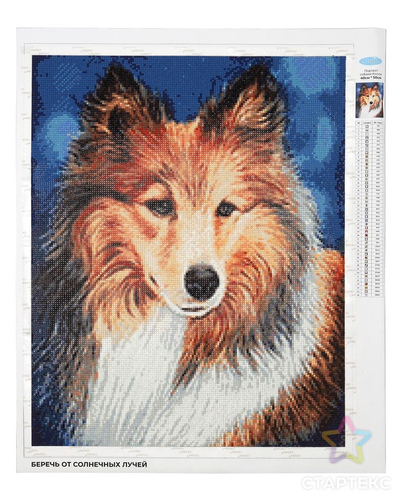 Cr 450069 Алмазная мозаика 'Портрет собаки Колли', 40*50 см, Cristyle арт. АРС-41734-1-АРС0001271538